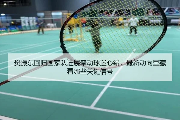 樊振东回归国家队进展牵动球迷心绪，最新动向里藏着哪些关键信号